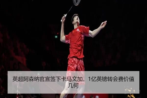 ying-chao-a-sen-na-guan-xuan-qian-xia-ka-ma-wen-jia-yi-ying-bang-zhuan-hui-fei-jia-zhi-ji-he-2-140.jpg