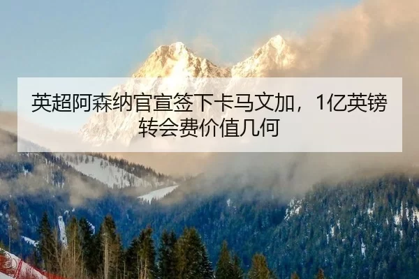 英超阿森纳官宣签下卡马文加，1亿英镑转会费价值几何