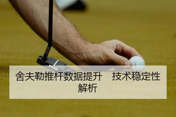 舍夫勒推杆数据提升　技术稳定性解析