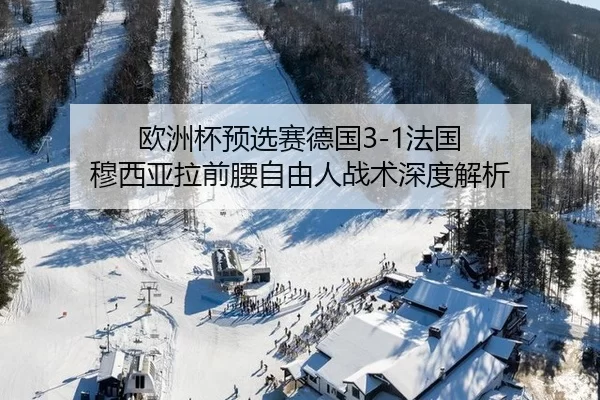 ou-zhou-bei-yu-xuan-sai-de-guo-fa-guo-mu-xi-ya-la-qian-yao-zi-you-ren-zhan-shu-shen-du-jie-xi-2-517.jpg