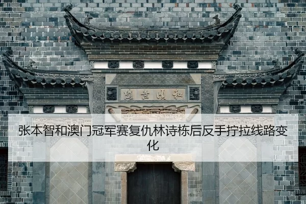 张本智和澳门冠军赛复仇林诗栋后反手拧拉线路变化