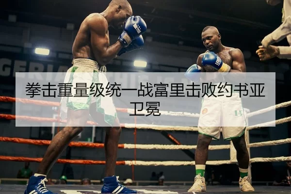拳击重量级统一战富里击败约书亚卫冕